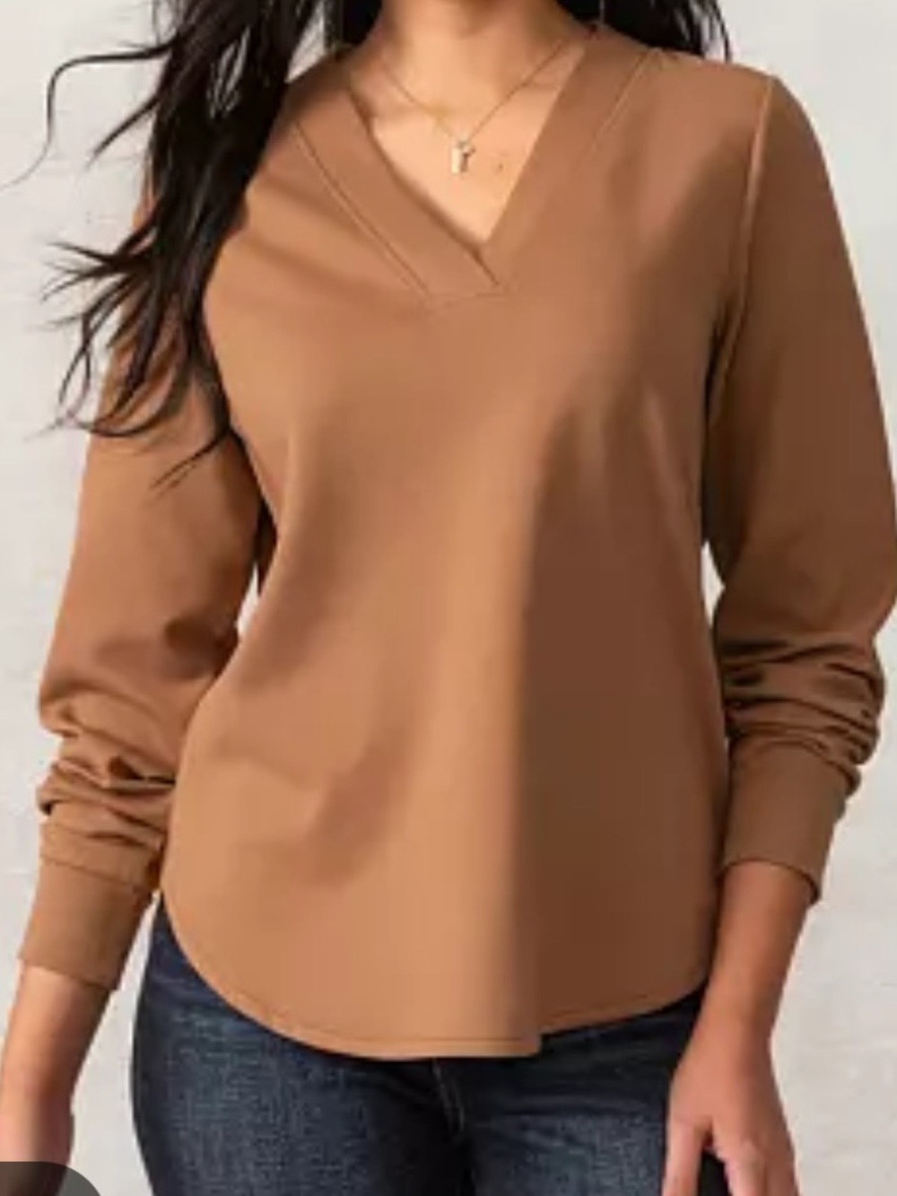 Buckle Black Carob Brown Long Sleeve V-Neck Blouse NWT Size Medium